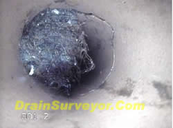 www.drainsurveyor.com_tree root mass in drain
